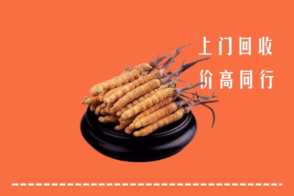 高价求购：天水市清水回收散虫草