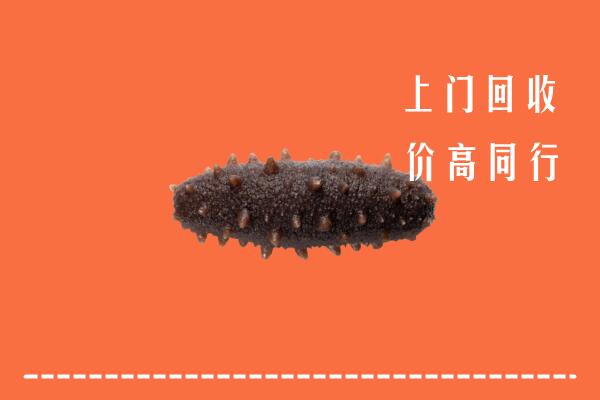 高价求购：天水市清水回收海参